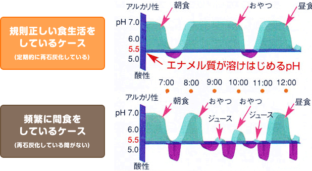 規則正しい食生活をしているケースと頻繁に間食をしているケース 規則正しい食生活をしているケースと頻繁に間食をしているケース